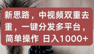 新思路,中视频双重去重,一键分发多平台,简单操作,日入1000+-优优云创网