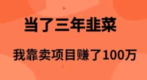 (10149期)当了3年韭菜,我靠卖项目赚了100万-优优云创网