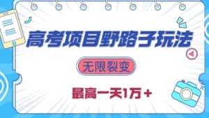 （10150期）2024高考项目野路子玩法，无限裂变，最高一天1W＋！-优优云创网