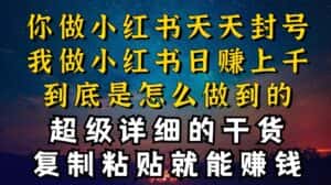 都知道小红书能引流私域变现，可为什么我能一天引流几十人变现上千，但你却频频封号违规被限流-优优云创网
