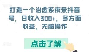 打造一个治愈系夜景抖音号,日收入300+,多方面收益,无脑操作-优优云创网