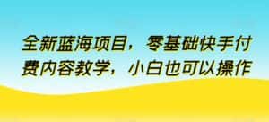 全新蓝海项目，零基础快手付费内容教学，小白也可以操作-优优云创网