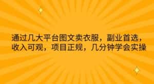 通过几大平台图文卖衣服,副业首选,收入可观,项目正规,几分钟学会实操-优优云创网