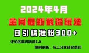 (10179期)刚刚研究的最新评论区截留玩法,日引流突破300+,颠覆以往垃圾玩法,比…-优优云创网