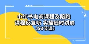 (10170期)小红书电商课程及陪跑 课程反复听 实操随时讲解 (53节课)-优优云创网