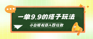 （10162期）小白也能轻松玩转的搭子项目，一单9.9，日入四位数-优优云创网