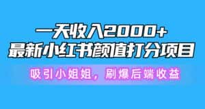 (10187期)一天收入2000+,最新小红书颜值打分项目,吸引小姐姐,刷爆后端收益-优优云创网