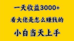 一天赚3000多,大佬是这样赚到钱的,小白当天上手,穷人翻身项目-优优云创网