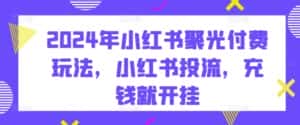 2024年小红书聚光付费玩法,小红书投流,充钱就开挂-优优云创网