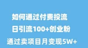 (10189期)如何通过付费投流日引流100+创业粉月变现5W+-优优云创网