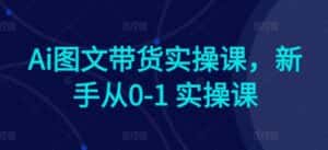 Ai图文带货实操课,新手从0-1 实操课-优优云创网