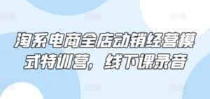 淘系电商全店动销经营模式特训营,线下课录音-优优云创网