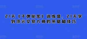 21天《子弹秘密》训练营,21天学到顶尖文案大师的策略和技巧-优优云创网