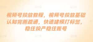 视频号投放教程,视频号投放基础认知完善疏通,快速建模打标签,稳住投产稳住账号-优优云创网