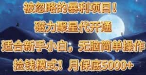 (10245期)被忽略的暴利项目!磁力聚星代开通捡钱模式,轻松月入五六千-优优云创网