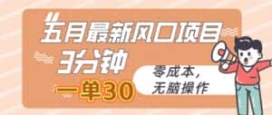(10256期)五月最新风口项目,3分钟一单30,零成本,无脑操作-优优云创网