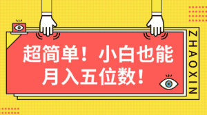 （10257期）超简单图文项目！小白也能月入五位数-优优云创网