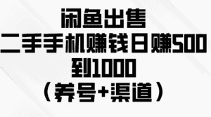 （10269期）闲鱼出售二手手机赚钱，日赚500到1000（养号+渠道）-优优云创网