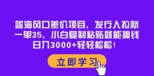（10272期）蓝海风口差价项目，发行人拉新，一单35，小白复制粘贴就能搞钱！日入30…-优优云创网