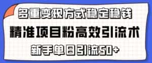 精准项目粉高效引流术,新手单日引流50+,多重变现方式稳定赚钱-优优云创网