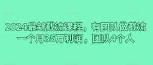 2024最新截流课程,有团队做截流一个月35万利润,团队4个人-优优云创网