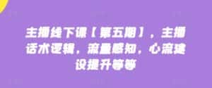 主播线下课【第五期】,主播话术逻辑,流量感知,心流建设提升等等-优优云创网