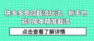 拼多多竞品截流玩法,新手也能0成本精准截流-优优云创网