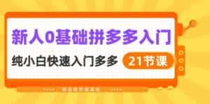 (10299期)新人0基础拼多多入门,纯小白快速入门多多(21节课)-优优云创网