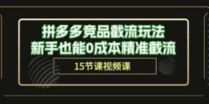 拼多多竞品截流玩法,新手也能0成本精准截流(15节课)-优优云创网