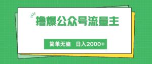 （10310期）撸爆公众号流量主，简单无脑，单日变现2000+-优优云创网