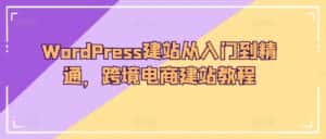 WordPress建站从入门到精通,跨境电商建站教程-优优云创网