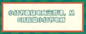 小红书高级电商运营课,从0开始做小红书电商-优优云创网