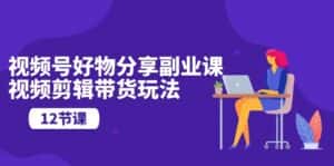 (10316期)视频号好物分享副业课,视频剪辑带货玩法(12节课)-优优云创网