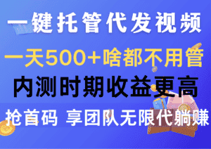 (10327期)一键托管代发视频,一天500+啥都不用管,内测时期收益更高,抢首码,享…-优优云创网