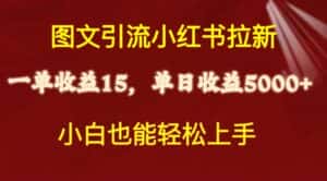 (10329期)图文引流小红书拉新一单15元,单日暴力收益5000+,小白也能轻松上手-优优云创网