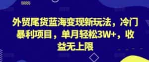 外贸尾货蓝海变现新玩法,冷门暴利项目,单月轻松3W+,收益无上限-优优云创网