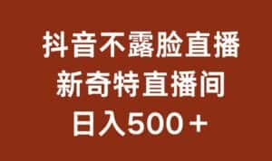 不露脸挂机直播,新奇特直播间,日入500+-优优云创网