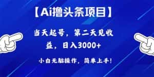 (10334期)Ai撸头条,当天起号,第二天见收益,日入3000+-优优云创网