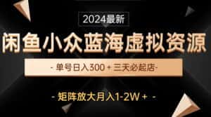 (10336期)最新闲鱼小众蓝海虚拟资源,单号日入300+,三天必起店,矩阵放大月入1-2W-优优云创网