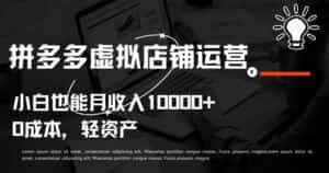 拼多多虚拟店铺运营小白也能月收入10000+-优优云创网