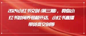 2024小红书文创(第三期),教你小红书如何养号和开店,小红书直播带货卖文创等-优优云创网