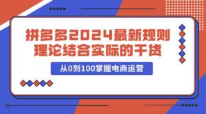 拼多多2024最新规则理论结合实际的干货,从0到100掌握电商运营-优优云创网
