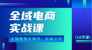 全域电商实战课,个人店铺精细化操作流程,出单必学内容(18节课)-优优云创网