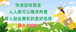 (10364期)快递回收掘金,人人都可以赚派件费,新人副业兼职的最好选择,日入2000+-优优云创网