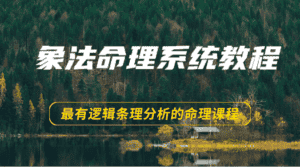 象法命理系统教程,最有逻辑条理分析的命理课程(56节)-优优云创网