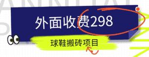 外面收费298的得物球鞋搬砖项目详细拆解教程-优优云创网