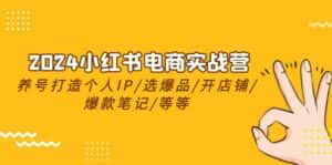 (10375期)2024小红书电商实战营,养号打造IP/选爆品/开店铺/爆款笔记/等等(24节)-优优云创网