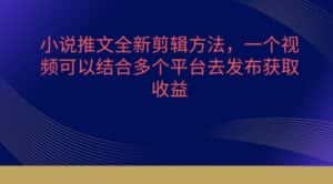 小说推文全新剪辑方法，一个视频可以结合多个平台去发布获取-优优云创网