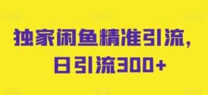 独家闲鱼精准引流,日引流300+-优优云创网