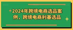 2024年跨境电商选品案例，跨境电商利基选品-优优云创网